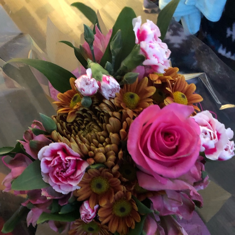 Meet your Posher, nancy